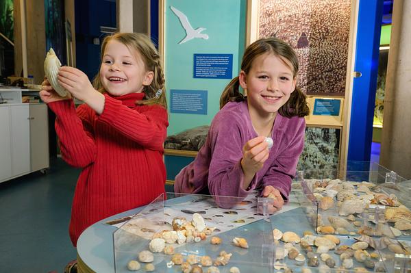 Scottish Seabird Centre's Discovery Experience