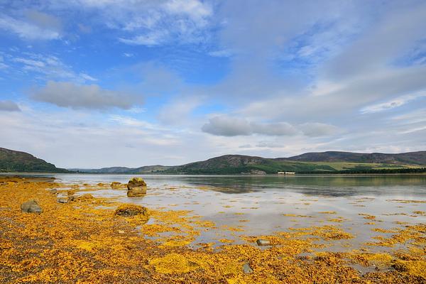 Loch Fleet Loch Fleet, a Scottish sea loch. Marine environments capture and store large amounts of carbon and help us to tackle climate change. 