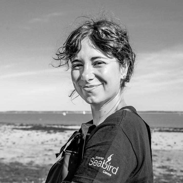 Dr Marie Seraphim photo
