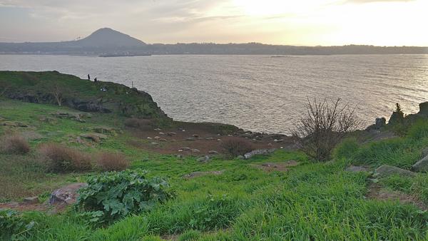 A distant view of the seal colony with North Berwick in the background. 