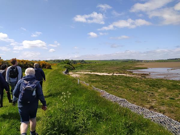 Clare Maynard leads a small group of us along the edge of a golf course bordering restored saltmarsh Clare Maynard leads a small group of us along the edge of a golf course bordering restored saltmarsh