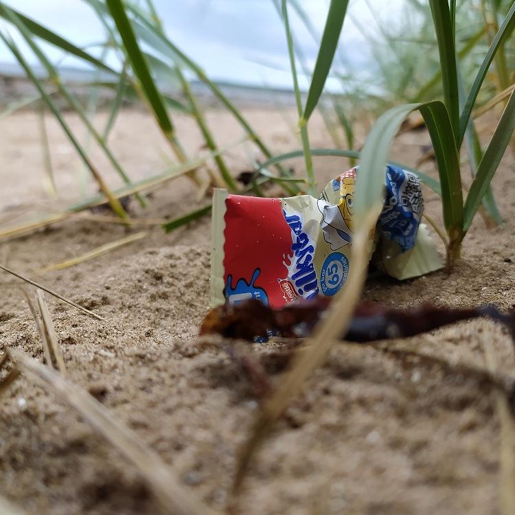 Marine Fest - Beach Clean