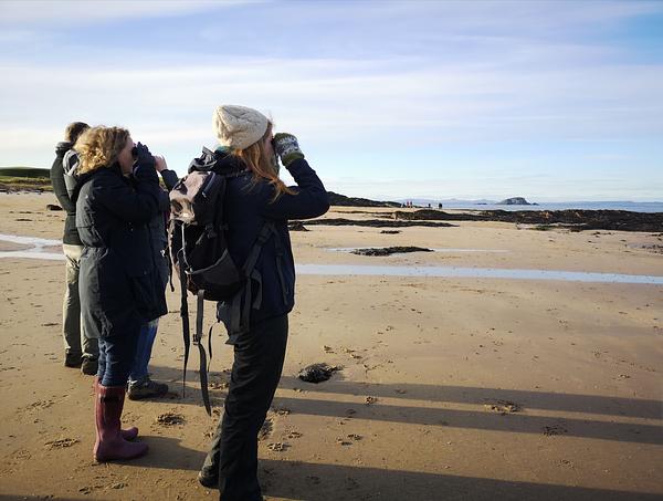 A small group of walkers venture along North Berwick beach and scan the horizon for widlife