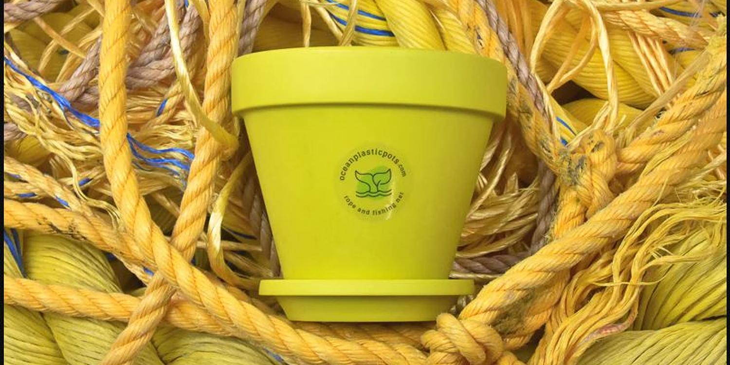 EnviroFutures Ocean Plastic Pots Scottish Seabird Centre