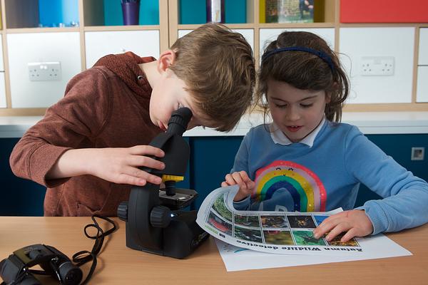 Eduation activities at the Scottish Seabird Centre