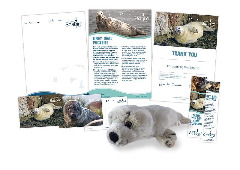 A display showing the different items included in the Grey seal adoption pack, including a cuddly toy, 2 postcards, a bookmark, a factfile and a certificate.