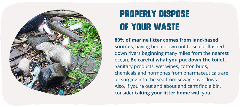 Properly dispose of your waste. 80% of marine litter has been blown out to sea from the coast or has been flushed into it down rivers that might have begun their journey many miles from the nearest ocean. Be careful what you put down the toilet. Sanitary products, wet wipes, cotton buds, and harmful chemicals and hormones from pharmaceuticals are all surging into the sea from sewage overflows. Also, if you’re out and about and can’t find a bin, consider taking your litter home with you.