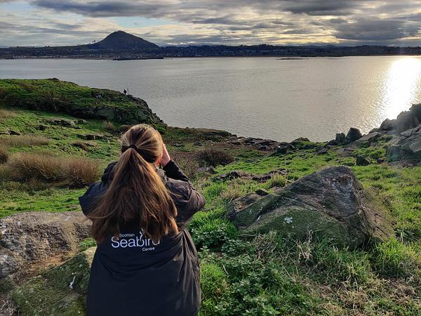 SSC Senior Conservation Officer Emily Burton sits on a high outcrop on Craigleith island and uses binoculars to count seal pups lower down the island from a distance. North Berwick and the Law are prominent in the distance SSC Senior Conservation Officer Emily Burton sits on a high outcrop on Craigleith island and uses binoculars to count seal pups lower down the island from a distance. North Berwick and the Law are prominent in the distance
