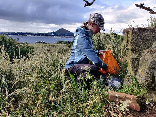 Conservation Officer changes non-toxic wax blocks in a Biosecurity bait box on an island. North Berwick law is visible in the distance, with birds flying through the air. Conservation Officer changes non-toxic wax blocks in a Biosecurity bait box on an island. North Berwick law is visible in the distance, with birds flying through the air.