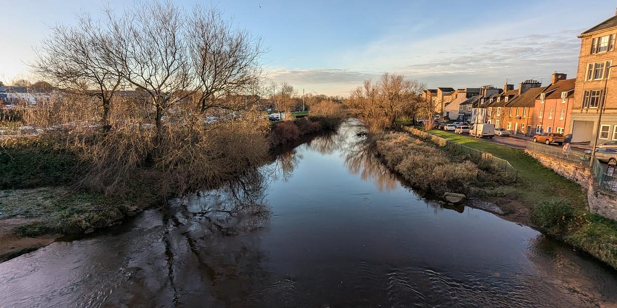 Upstream Battle on the Esk - Eskmills - Scottish Seabird Centre