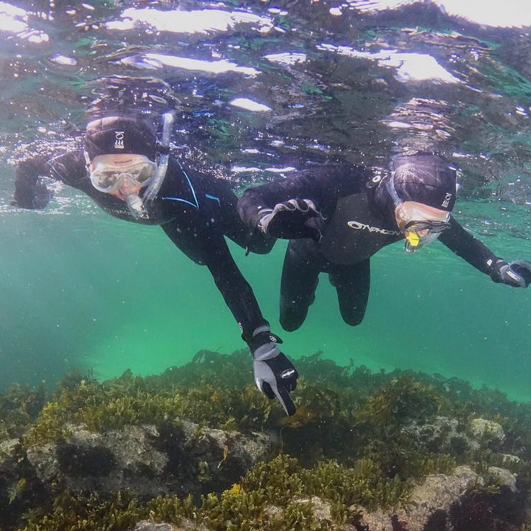 Snorkel Trails photo