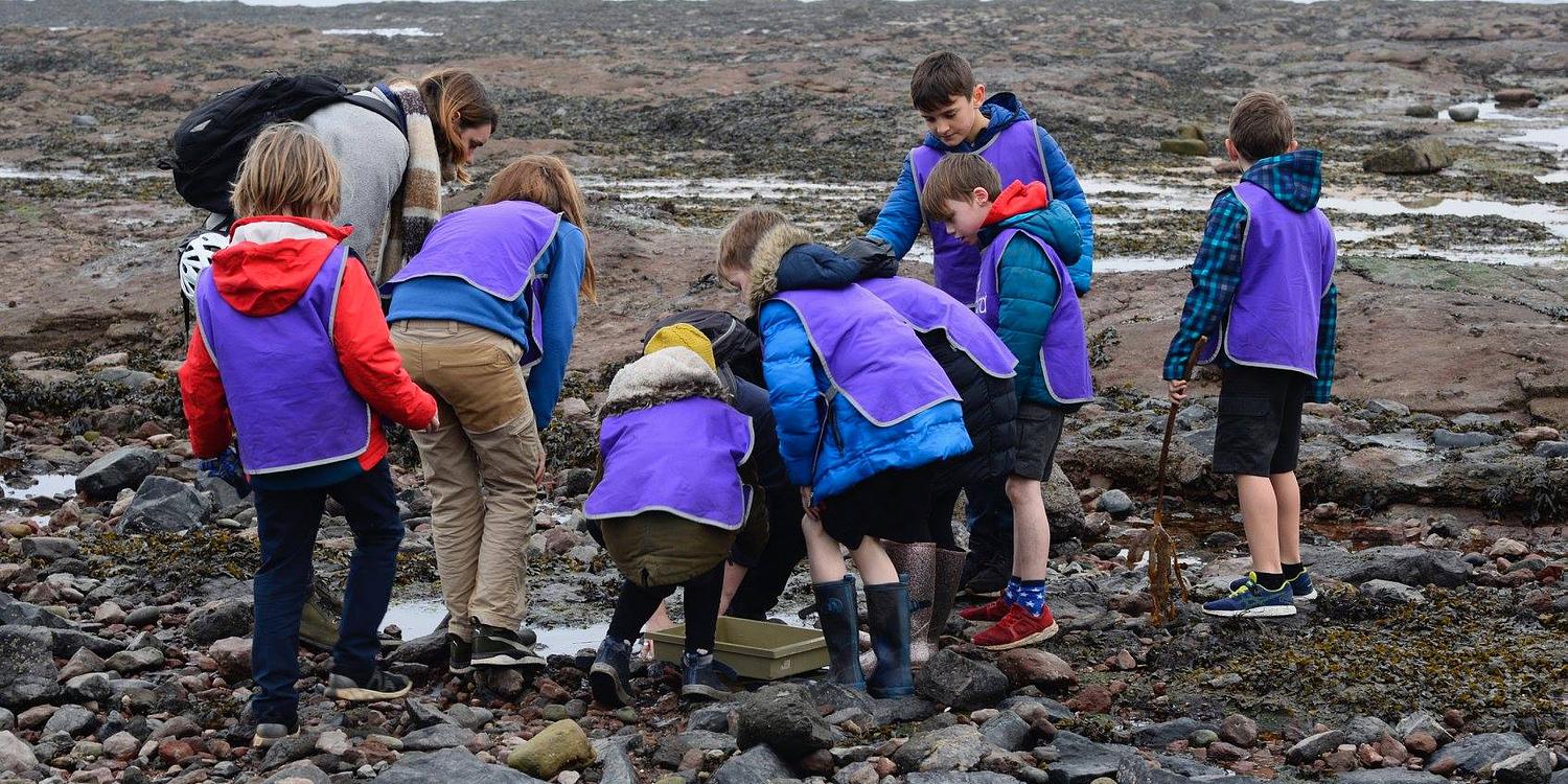 Wildlife Club Scottish Seabird Centre