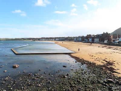 seabird boat trips north berwick