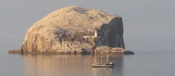 seabird boat trips north berwick