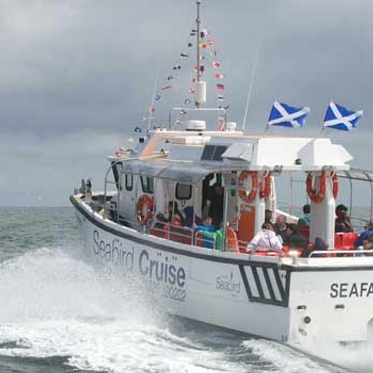 scottish seabird center boat trips