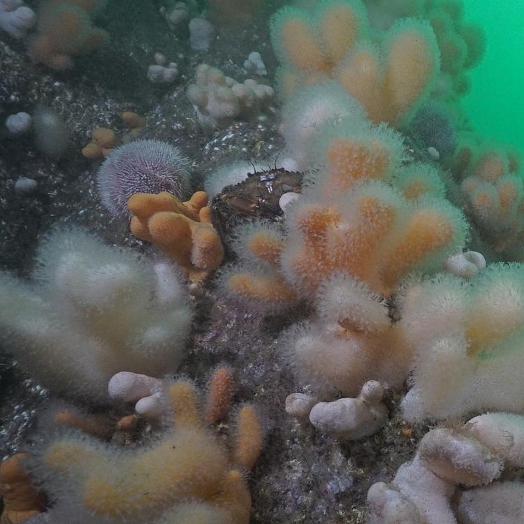 Scottish Environment LINK photo