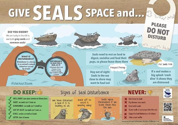Cornwall Seal Group Research Trust Cornwall Seal Group Research Trust